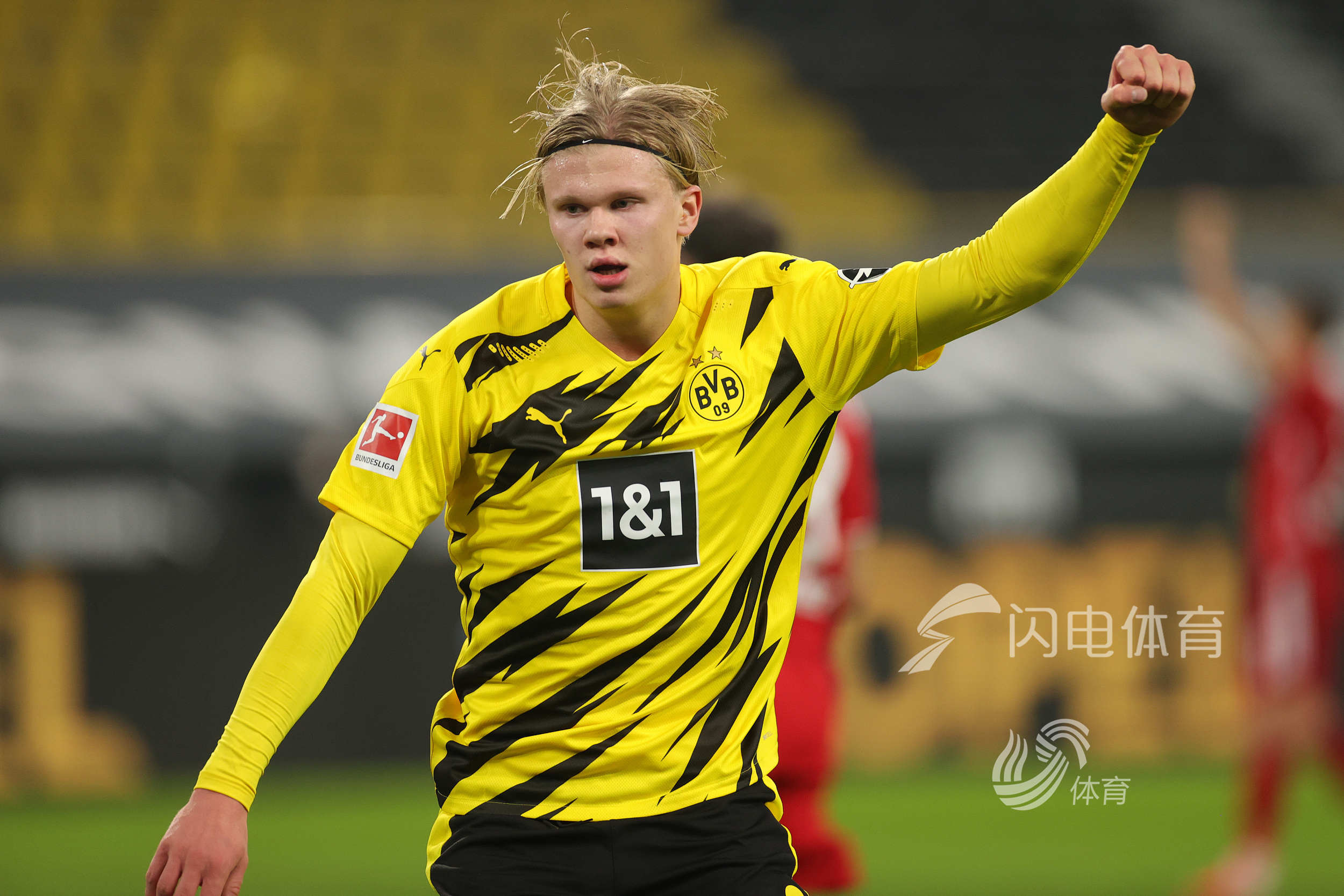 证明了在 证明了在