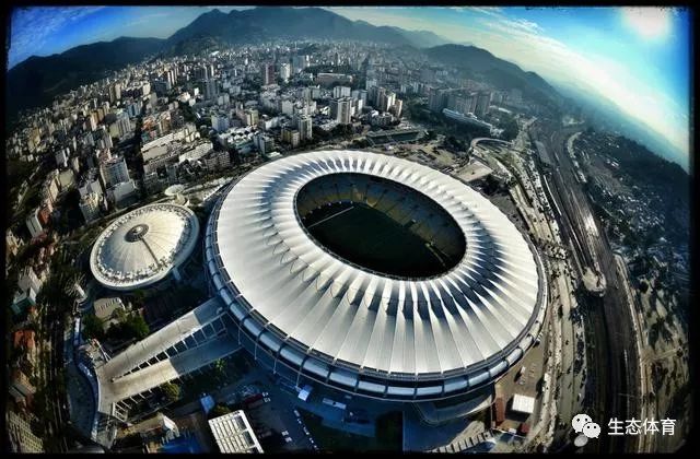 三步的髋膝 三步的髋膝